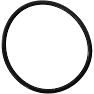 Jandy Pro Series TruClear O-Ring Replacement, R0694100
